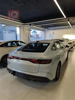 بي واي دي كوين L DM-i